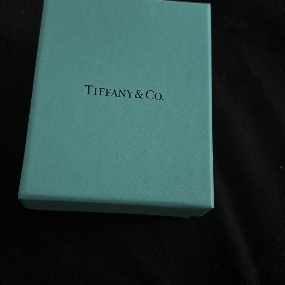 Tiffany & Co. Turquoise Box with earrings